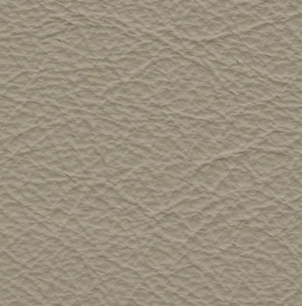 Acoustic Leder Broom Gusto Maxi – STONE