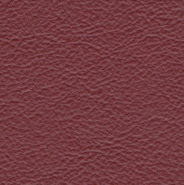 Acoustic Leder Broom Gusto Maxi – EXTRABLOOD
