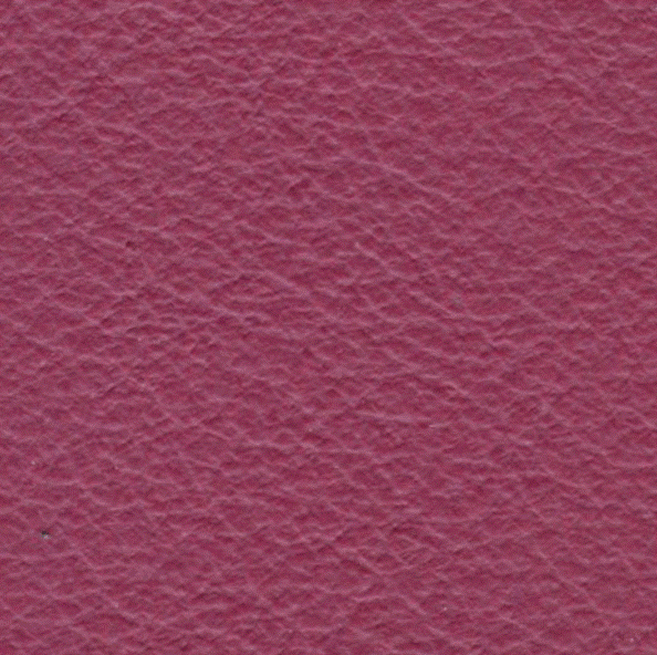 Acoustic Leder Broom Gusto Maxi – CERISE