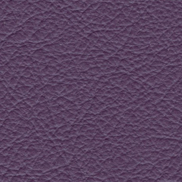 Acoustic Leder Broom Gusto Maxi – VIOLA