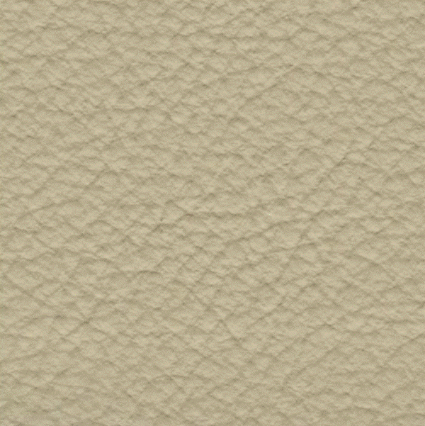 Acoustic Leder Broom Gusto Mini  – BEIGE