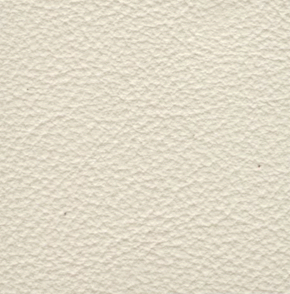 Acoustic Leder Broom Gusto Mini  – GESSO
