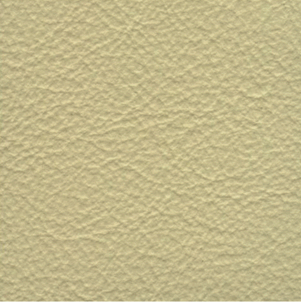 Acoustic Leder Broom Gusto Original  – PANNA