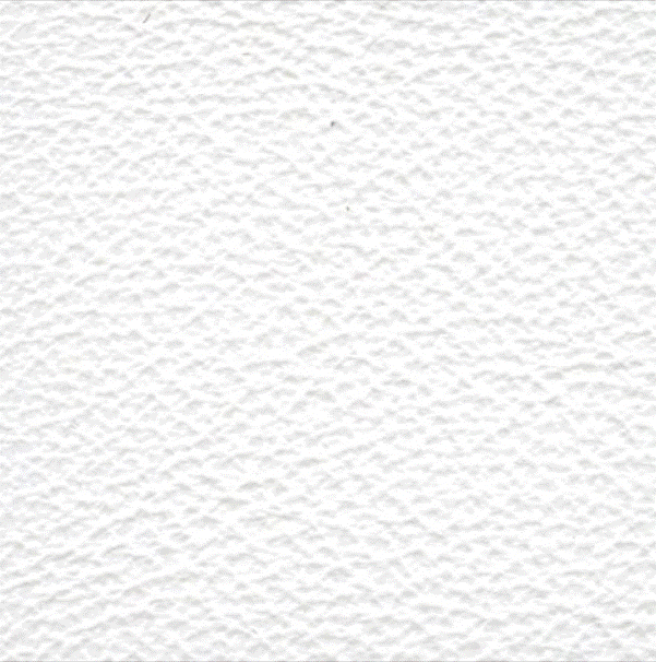 Acoustic Leder Broom Gusto Original  – BIANCO OTTICO