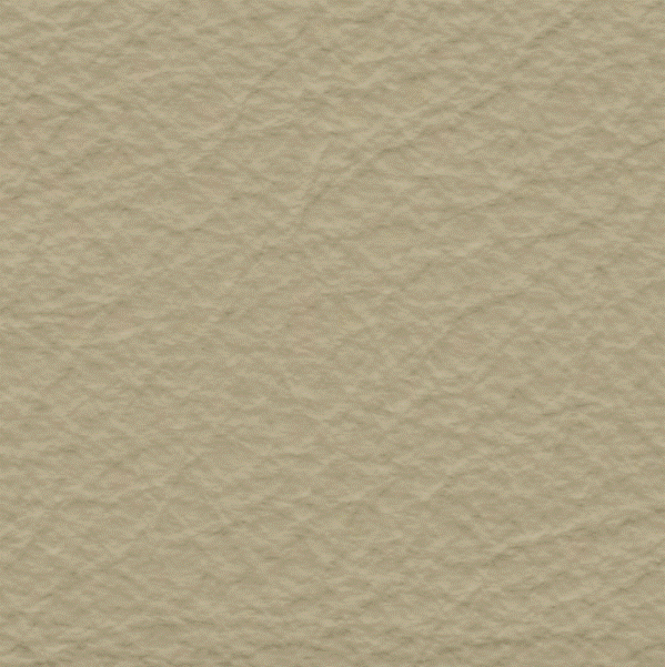 Acoustic Leder Broom Gusto Original  – CAFFELATTE