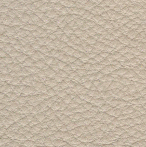 Acoustic Leder Broom Gusto Original  – EARTH