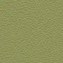 Acoustic Leder Broom Gusto Original  – ALOE