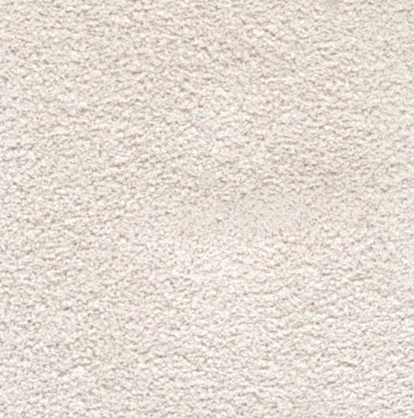 Acoustic Leder Barr Suede – WHITE