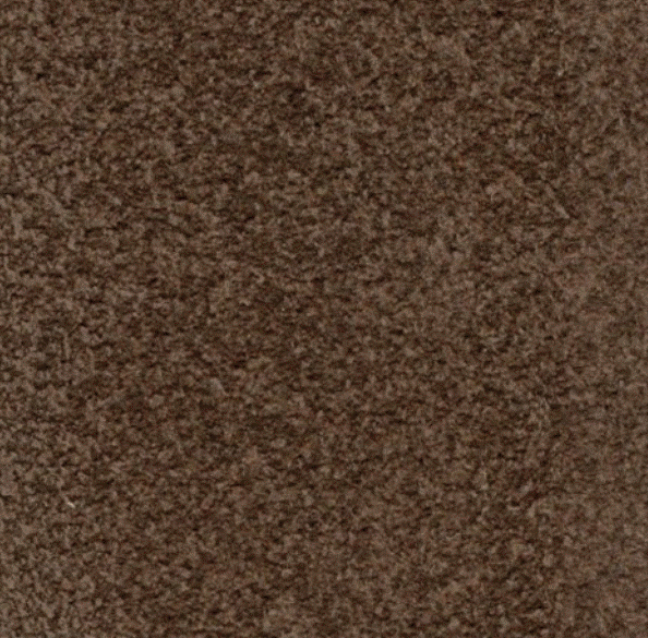 Acoustic Leder Barr Suede – PRALINE