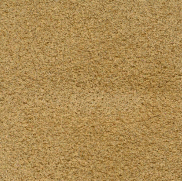 Acoustic Leder Barr Suede – LION