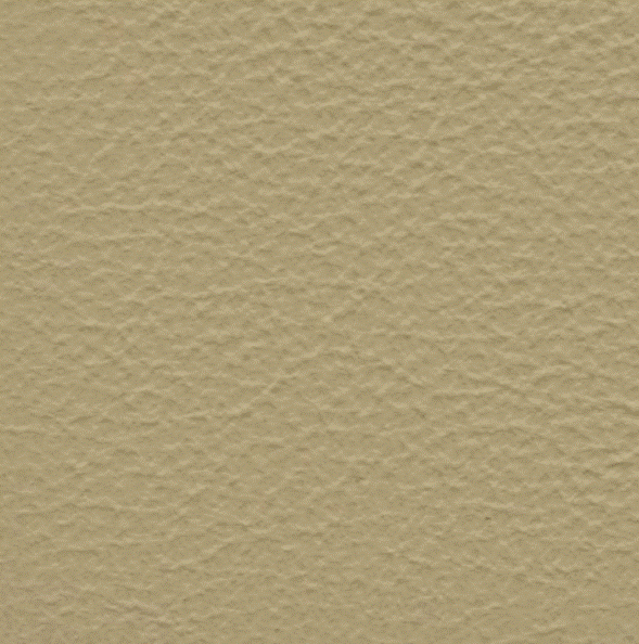 Acoustic Leder Barr Gusto – CREMA