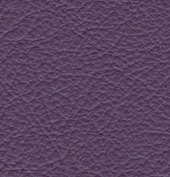 Acoustic Leder Barr Gusto – VIOLA