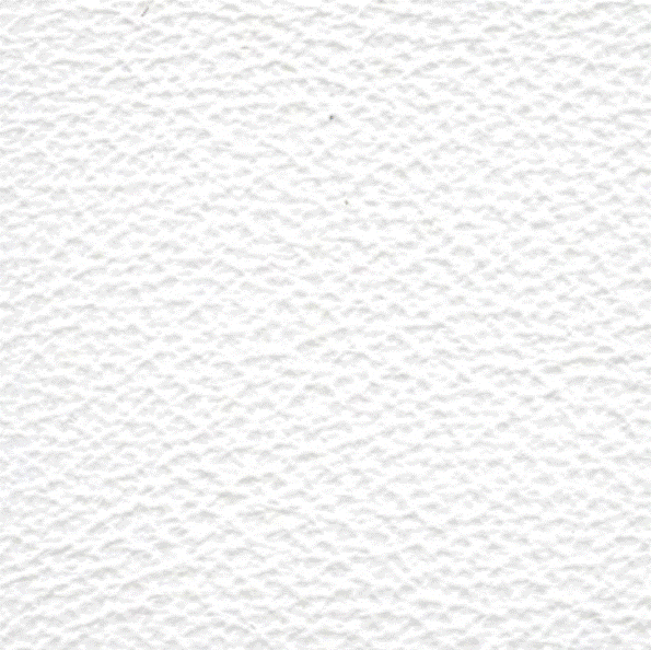 Acoustic Leder Barr Gusto – BIANCO OTTICO