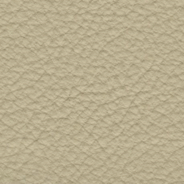 Acoustic Leder Barr Gusto – BEIGE