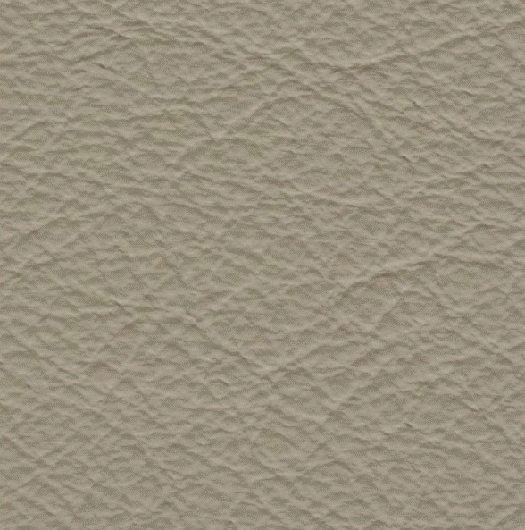 Acoustic Leder Barr Gusto – STONE