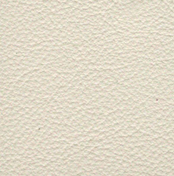 Acoustic Leder Barr Gusto – GESSO