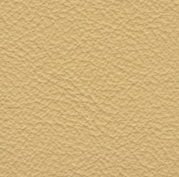 Acoustic Leder Barr Gusto – PERGAMENA