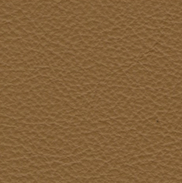 Acoustic Leder Barr Gusto – MIEL