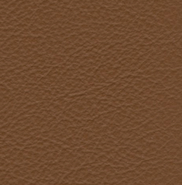 Acoustic Leder Barr Gusto – FONDOTINTA