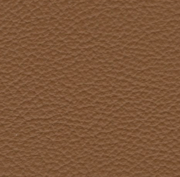 Acoustic Leder Barr Gusto – NEW COGNAC