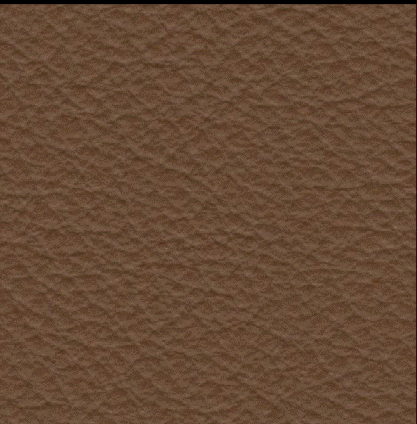 Acoustic Leder Barr Gusto – MARRONE