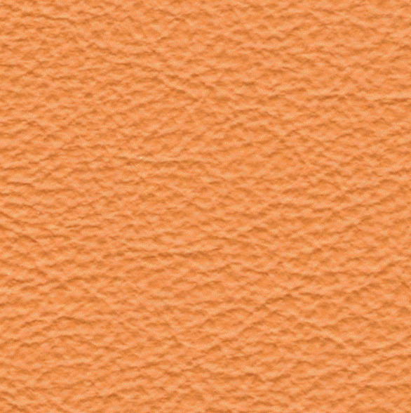 Acoustic Leder Barr Gusto – ARANCIO