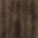 Acoustic Leder Barrcode Boxer Kaiman Cobra  – Clay Cobra