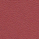 Acoustic Leder Barrcode Gusto  – BORDEAUX