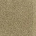 Acoustic Leder Barrcode Suede  – ROCK