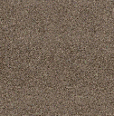 Acoustic Leder Barrcode Suede  – ALMOND