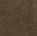 Acoustic Leder Barrcode Suede  – SALOON