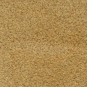 Acoustic Leder Barrcode Suede  – LION