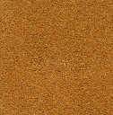 Acoustic Leder Barrcode Suede  – BRULEE