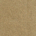Acoustic Leder Echo Arke Suede  – SOUL