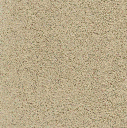 Acoustic Leder Echo Arke Suede  – MOUTON