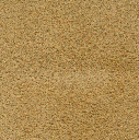 Acoustic Leder Echo Arke Suede  – LION