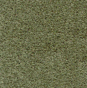 Acoustic Leder Echo Pulse Suede   – BUSH