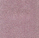 Acoustic Leder Echo Pulse Suede   – CHIFFON