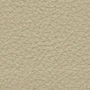 Acoustic Leder Echo Arke Gusto   – Beige