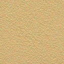 Acoustic Leder Echo Arke Gusto   – PERGAMENA