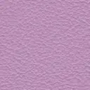 Acoustic Leder Echo Arke Gusto   – ORCHID