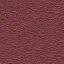 Acoustic Leder Echo Pulse Gusto   – EXTRABLOOD