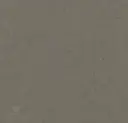 Linoleum Marmoleum Decibel 3,5 – nebula