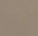 Linoleum Marmoleum Decibel 3,5 – silt