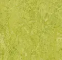 Linoleum Marmoleum Decibel 3,5 – chartreuse