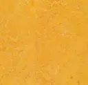 Linoleum Marmoleum Decibel 3,5 – dandelion