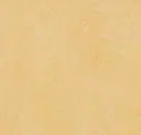 Linoleum Marmoleum Fresco 2,5 – natural corn