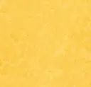 Linoleum Marmoleum Fresco 2,5 – lemon zest