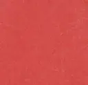 Linoleum Marmoleum Fresco 2,5 – rose