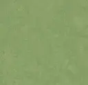 Linoleum Marmoleum Fresco 2,5 – leaf